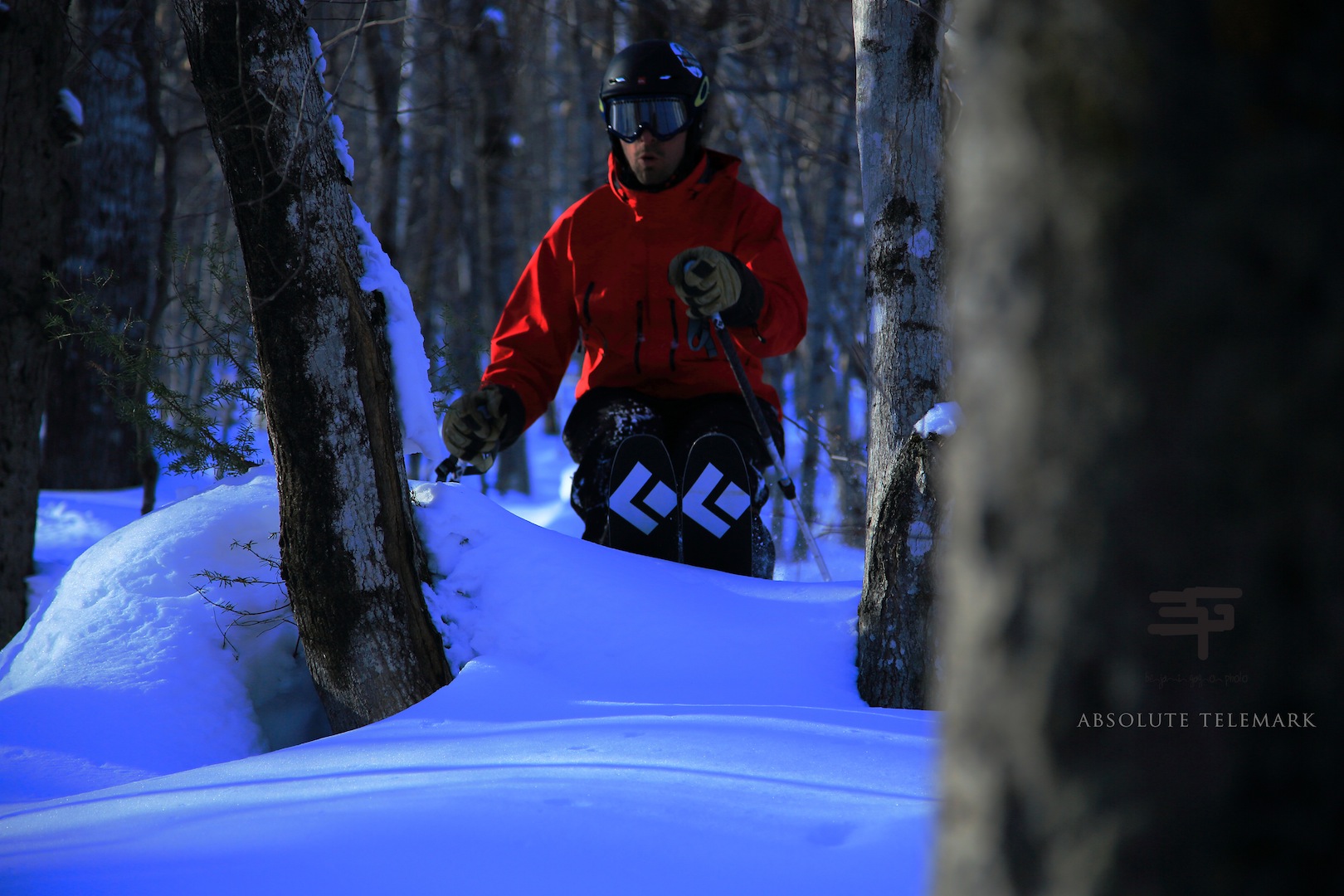 where to look Absolute Telemark